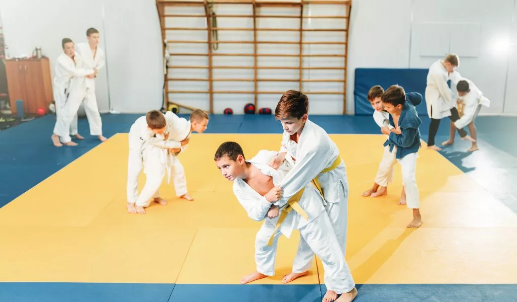 Enfants qui s'entrainnent au Judo