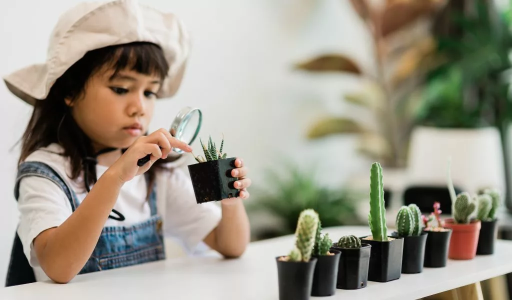 Choisir parmi les différentes méthodes d'éducation alternative pour son enfant